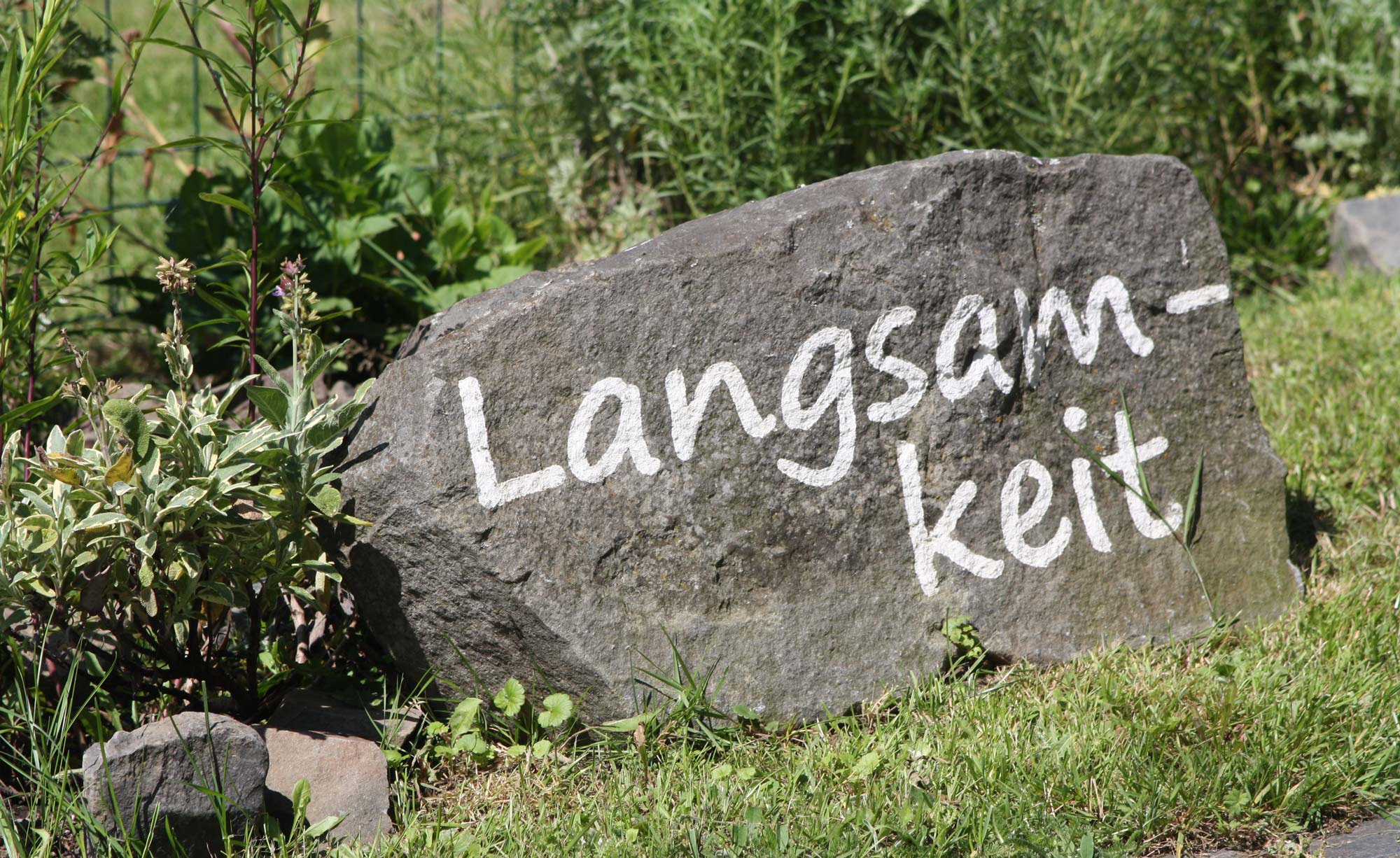 Angebote