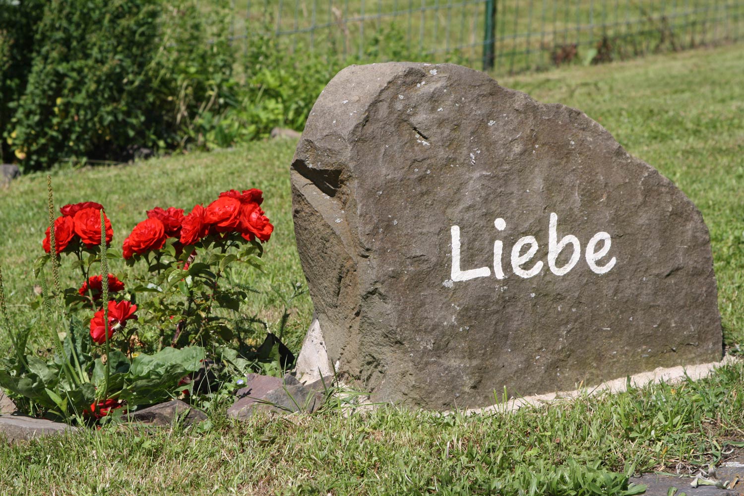 Angebote
