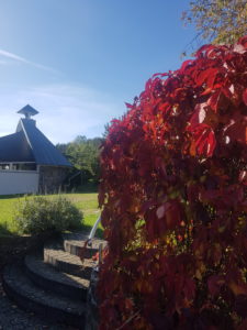 Ein Wochenende mit der Bibel @ Lebenshaus Osterfeld